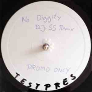 Blackstreet - No Diggity (DJ SS Remix) flac download