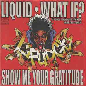 L-Fudge - Liquid / What If? / Show Me Your Gratitude flac download