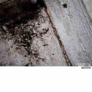 Silian Rail - Each/Other flac download
