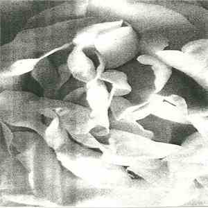 Culver - Breathe flac download