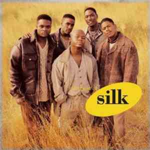 Silk  - The Best Of flac download