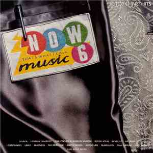 Various - Now That's What I Call Music 6 flac download
