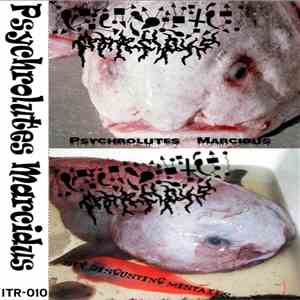 Psychrolutes Marcidus - Psychrolutes Marcidus / Six Disgusting Mistakes flac download