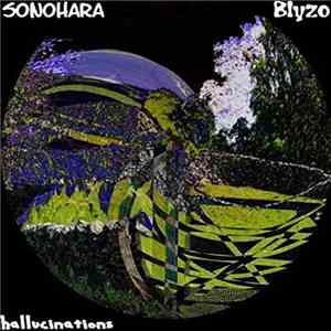 Sonohara, Blyzo - Hallucinations flac download