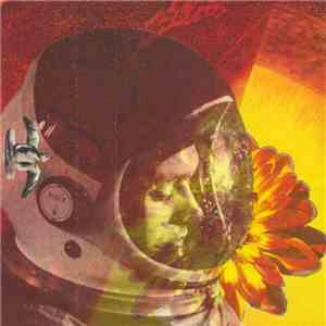 Sundrips - Tangled Paths Swept Away flac download