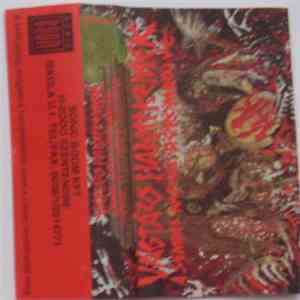 Vágtázó Halottkémek - A Semmi Kapuin Dörömbölve = Hammering On The Gates Of Nothingness flac download