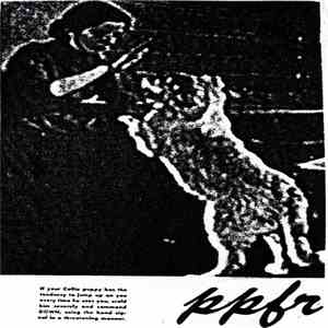 Greenman  - Pleasure Pain Fighting Rose flac download
