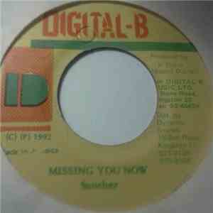 Sanchez - Missing You Now flac download