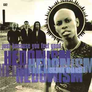 Skunk Anansie - Hedonism (Just Because You Feel Good) flac download