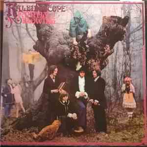 Kaleidoscope  - Faintly Blowing flac download