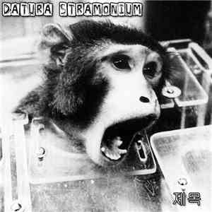 Datura Stramonium - 제목 flac download