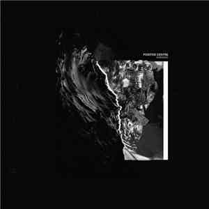 Positive Centre - Vorticist flac download