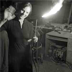 Scout Niblett - The Calcination Of Scout Niblett flac download