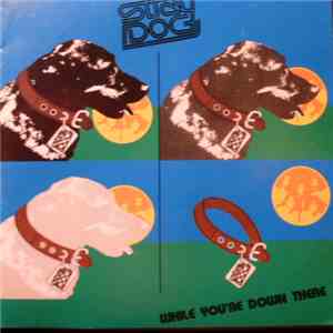 Stray Dog  - While You're Down There flac download