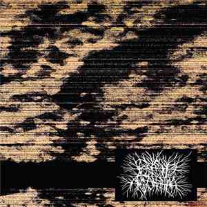 Bad Algorithm - D.o.a.R./(l) flac download