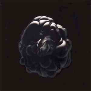 Ghost Community - Cycle Of Life flac download