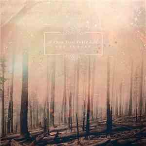 If These Trees Could Talk - Red Forest flac download