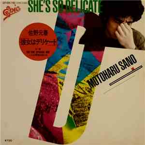 佐野元春 - 彼女はデリケート = She's So Delicate flac download