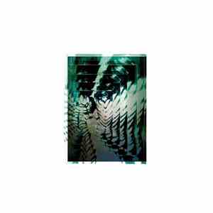 Daniel Half - Everything You Do Will Reappear And Look At You flac download