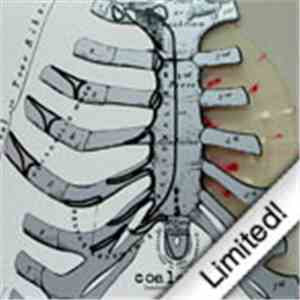 Coalesce - Functioning On Impatience flac download