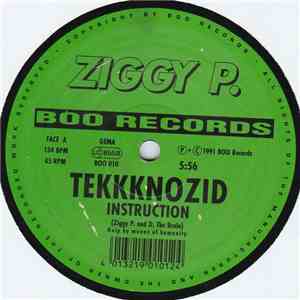 Ziggy P. - Tekkknozid flac download