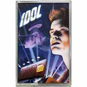 Billy Idol - Charmed Life flac download