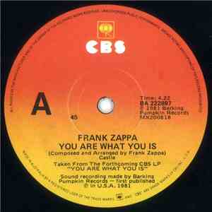 Frank Zappa - You Are What You Is flac download