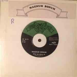 Magnum Bonum - Goodbye / What You Gonna Do flac download