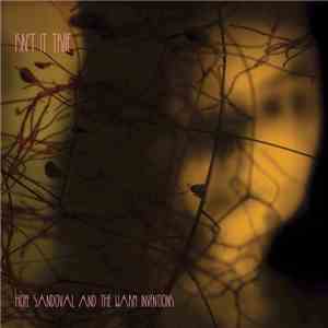 Hope Sandoval And The Warm Inventions - Isn't It True flac download