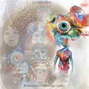 Various - Examination flac download