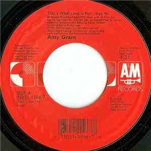 Amy Grant - That's What Love Is For flac download