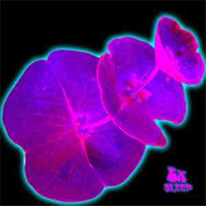 Ex  - Sleep flac download