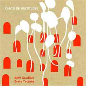 Rémi Gaudillat / Bruno Tocanne - Canto De Multitudes flac download