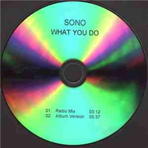 Sono - What You Do flac download