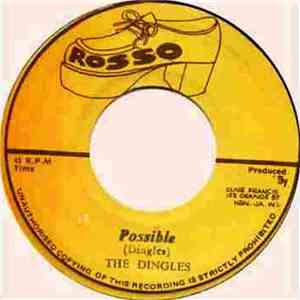 The Dingles - Possible flac download