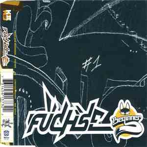 Absolute Beginner - Füchse flac download