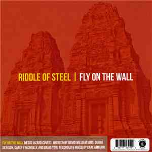 Riddle Of Steel / Traindodge - Fly On The Wall / Robowindows flac download