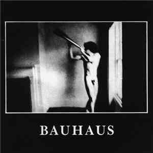 Bauhaus - In The Flat Field flac download