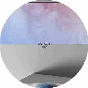 олег 2411 - 29DE flac download