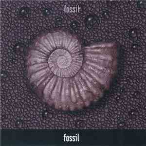 Fossil  - Fossil flac download