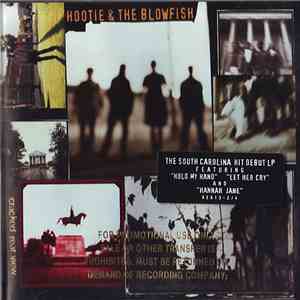 Hootie & The Blowfish - Cracked Rear View flac download