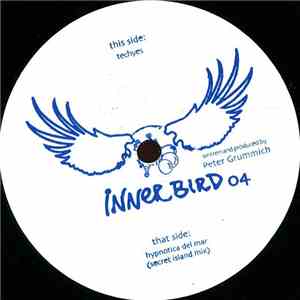 Peter Grummich - Techyes flac download