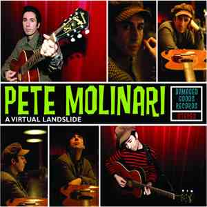 Pete Molinari - A Virtual Landslide flac download