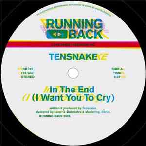 Tensnake - In The End (I Want You To Cry) flac download