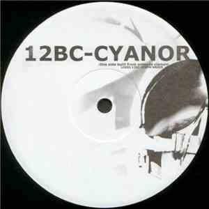 Various - 12BC flac download