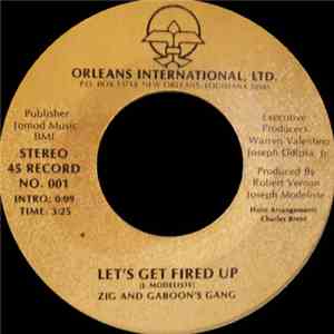 Zig And Gaboon's Gang - Let's Get Fired Up flac download