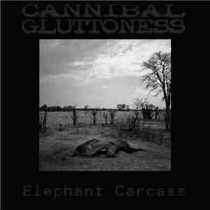 Cannibal Gluttoness - Elephant Carcass flac download
