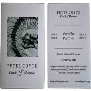 Peter Coyte - Crack & Murmur flac download