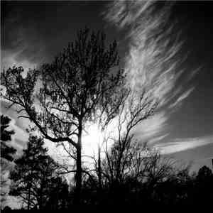 Andrew Colohan - Yellow Batter Sessions - Demo flac download