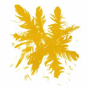 Gowns - Dangers Of Intimacy flac download